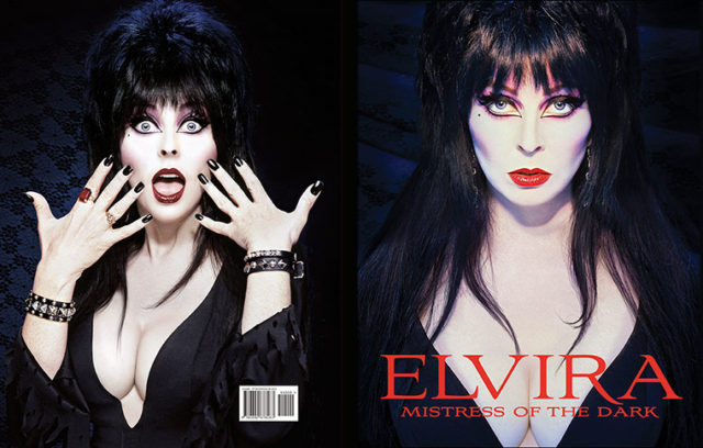 Elvira Misstress of the Dark Book
